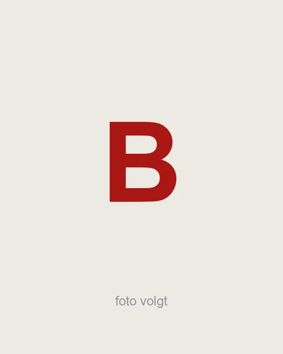 Bente — Junior assistent-accountant