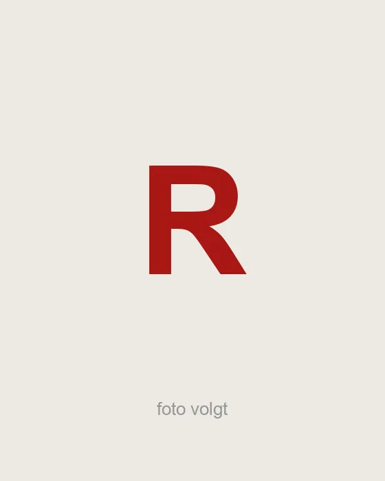 Ramon — Junior assistent-accountant